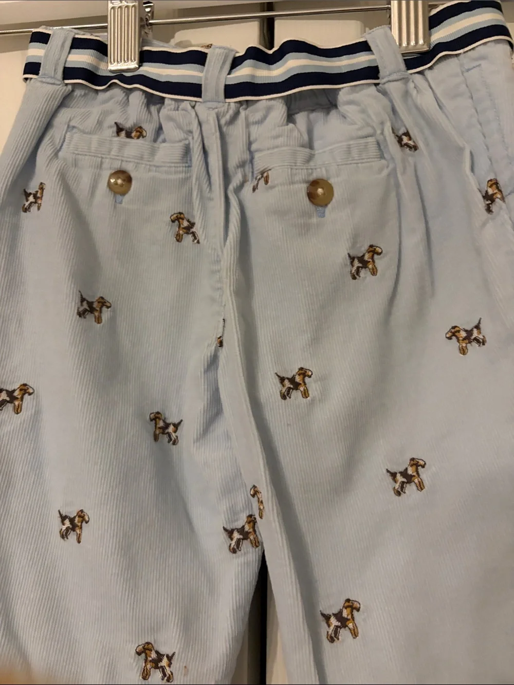 Ralph Lauren Light Blue Corduroy Embroidered Dog Shorts with Stripe Belt-9 Month